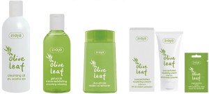 Ziaja-Olive-leaf-SkincosmeticsBlog